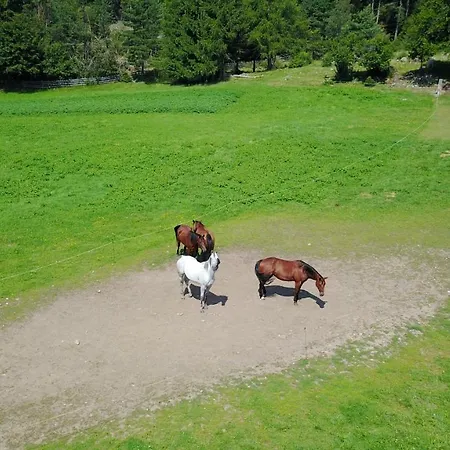 Schneiderwiesen 宾馆